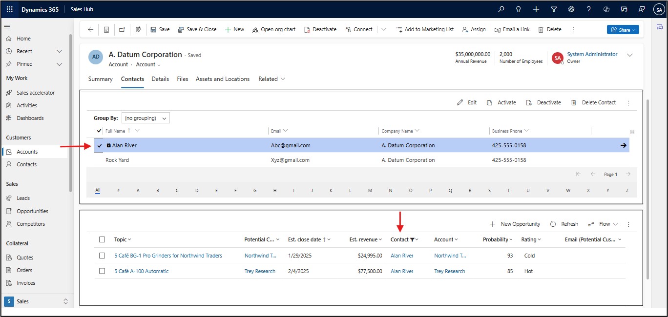 How To Dynamically Filter Subgrid Records In Dynamics 365 Nebulaa IT 